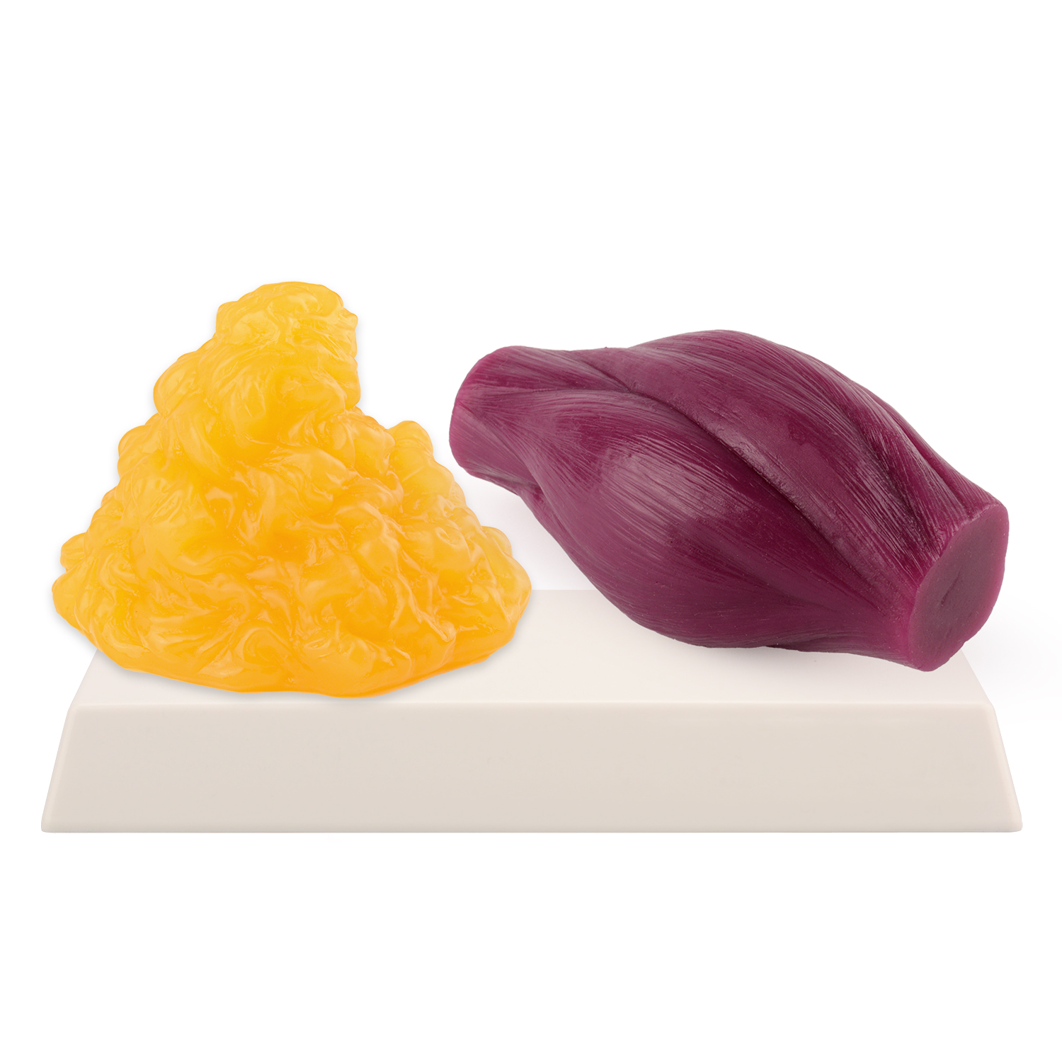 1lb Fat Replica & Muscle to Ke - огляд і ціна Nutrition In Fitness